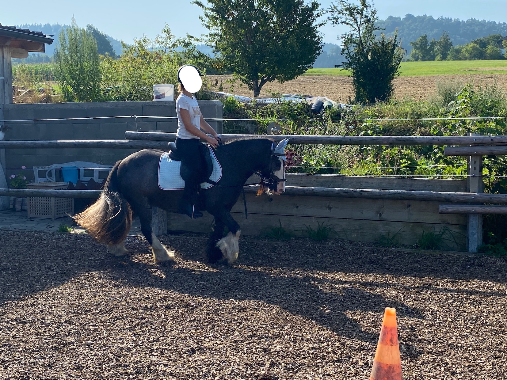 Ab und an als Kinderpony funktioniert es sehr gut, aber dauerhaft unsichere Reiter drauf gehen gar nicht 