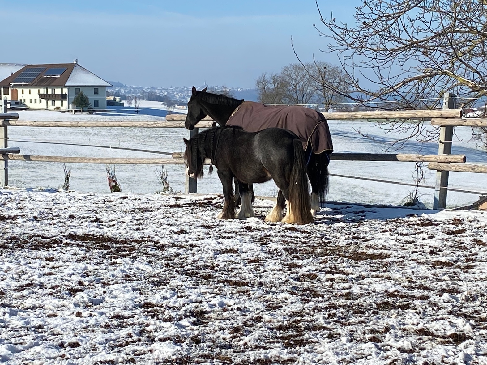 Bei Schönwetter wird auch einfach oft zwischendurch in der Sonne ein paar Minütchen gedöst