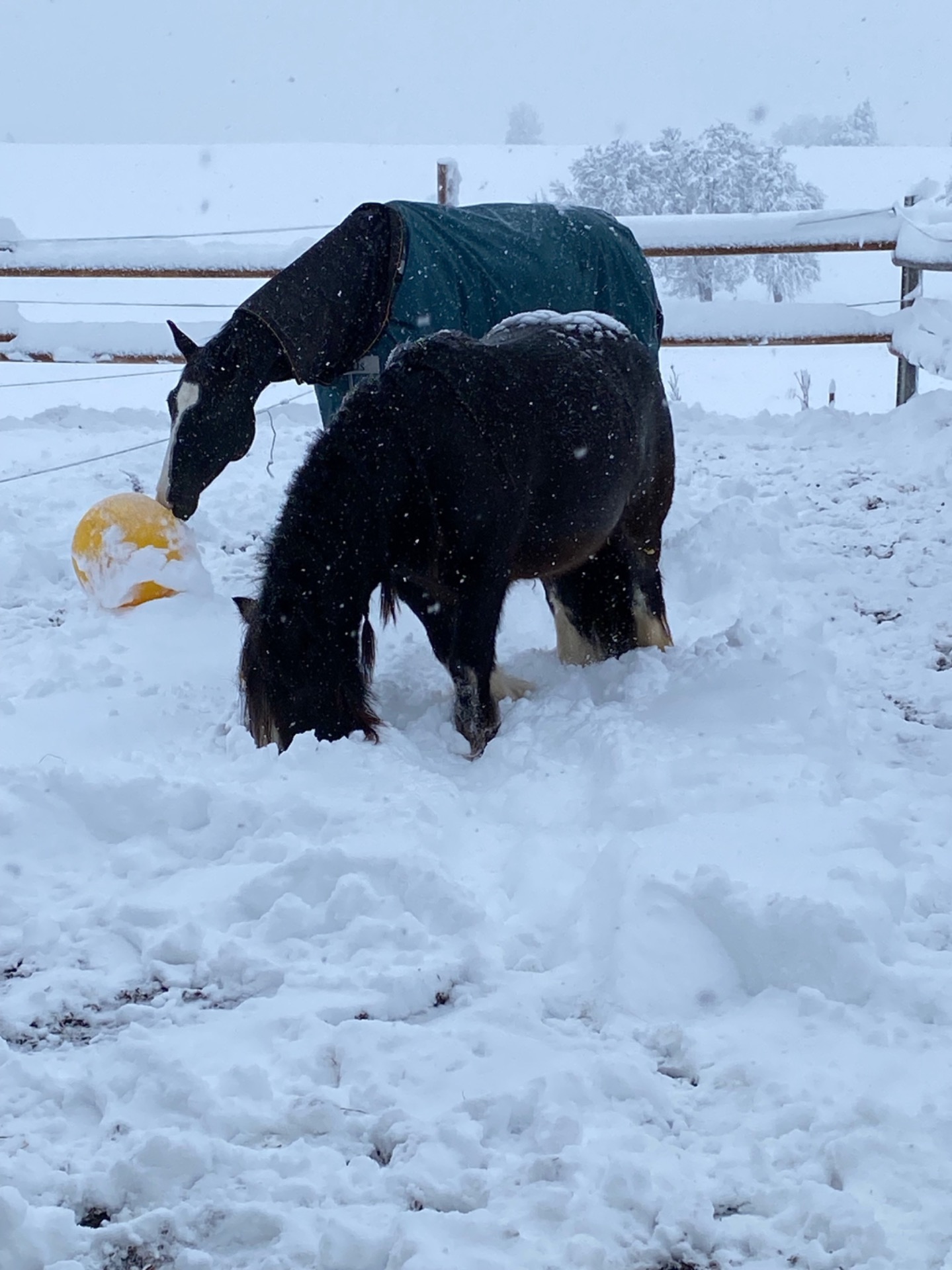 So idyllisch der Schnee anfangs ist, bleibt es meist nicht lange