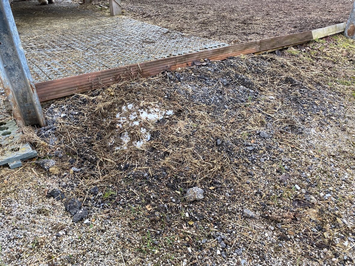 Mit dem Schnee und mit dem Wind sammeln sich viele Heu und Mistreste dort wo sie nicht sein sollen. Da heißt es mal ordentlich kehren und misten