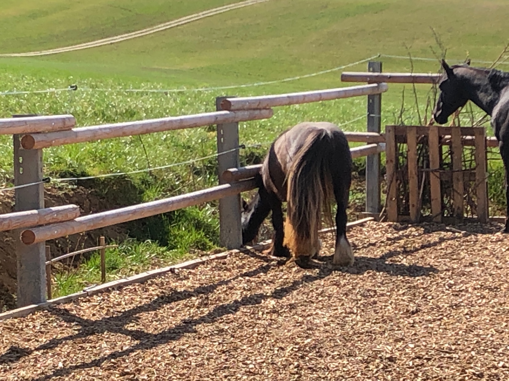 Der Zaun muss wieder "polysicher" gemacht werden