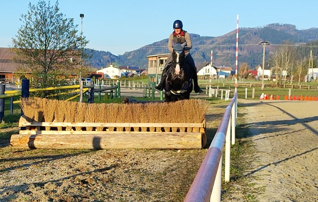 Ersten Geländelehrgang Outdoor haben wir auch schon hinter uns