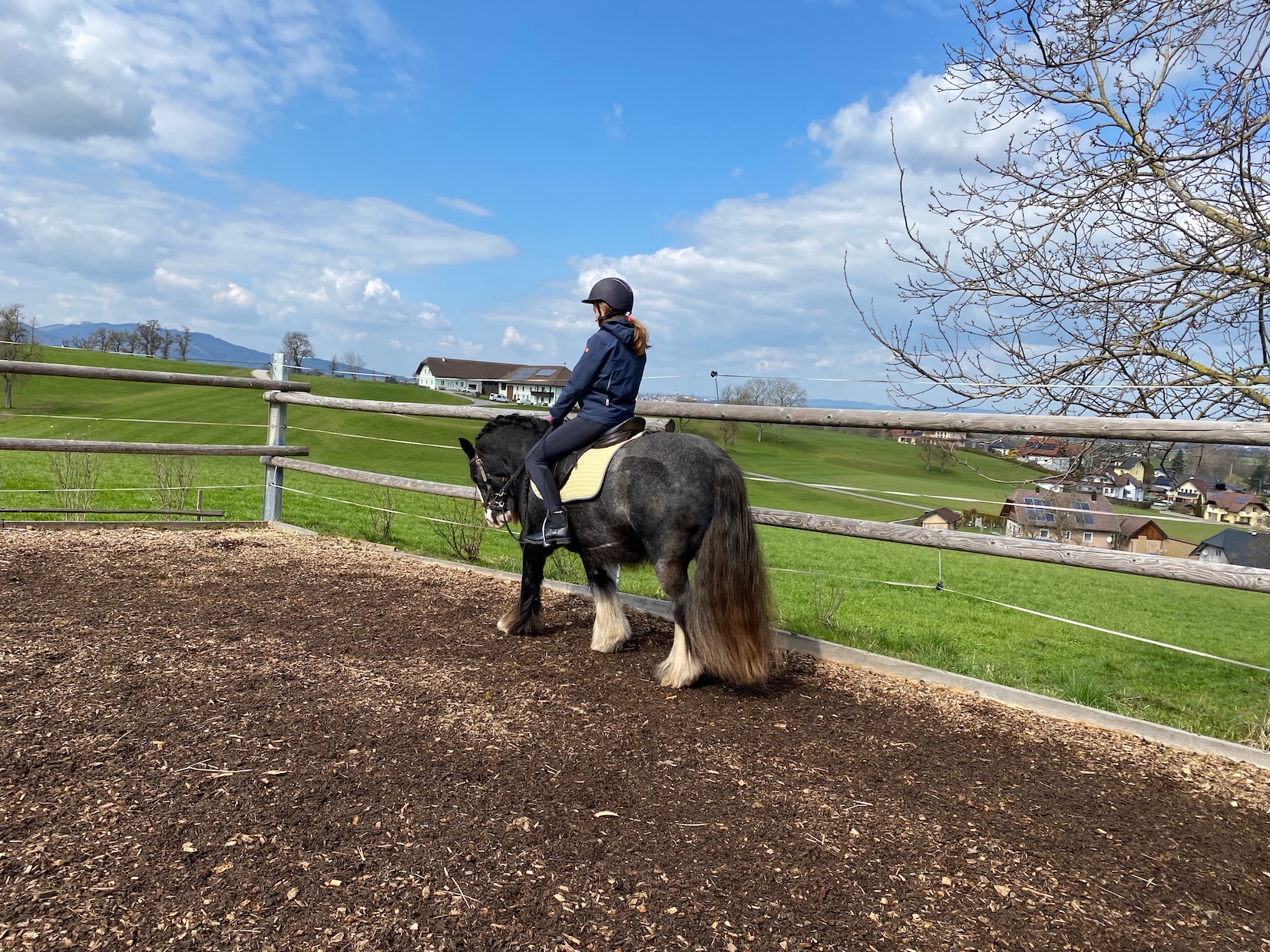 Ab und zu als Lehrpony