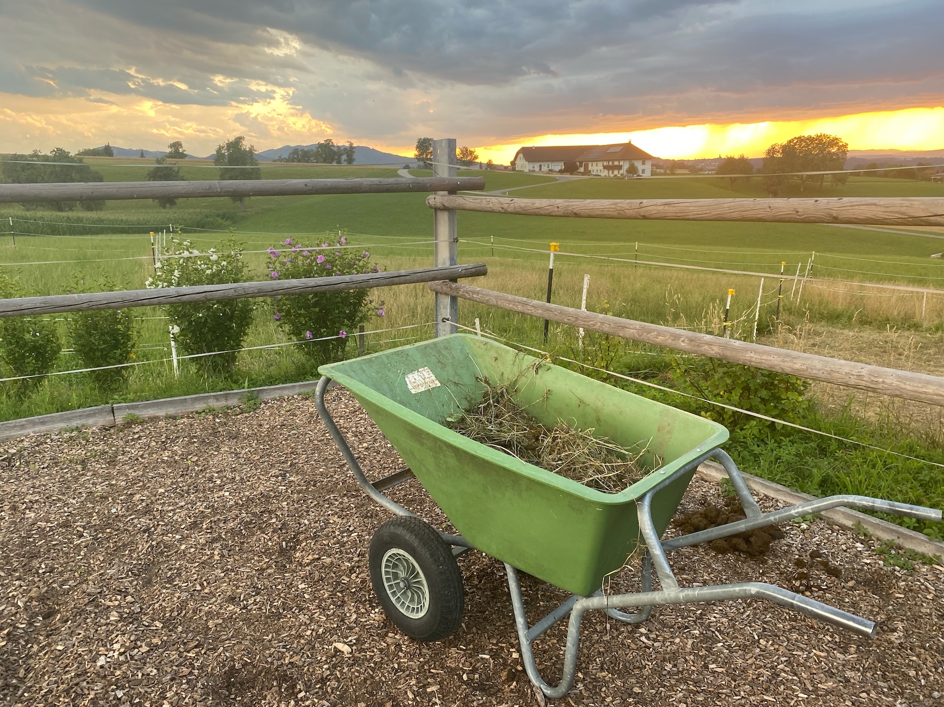 Arbeit bleibt Arbeit auch im Sonnenuntergang